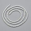 Electroplate Glass Beads Strands GLAA-F079-A-AB02-3