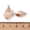 Electroplated Natural Shell Pendants BSHE-T015-09-3