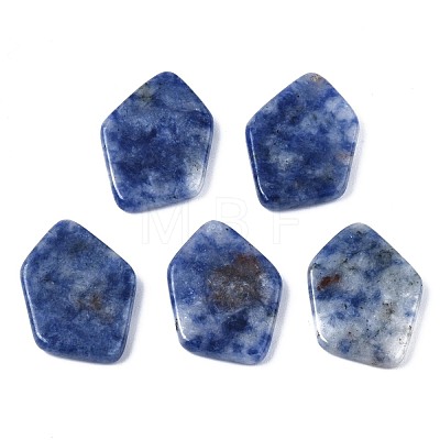 Natural Blue Spot Jasper Cabochons G-S359-323B-1