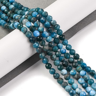 Natural Apatite Beads Strands X-G-F770-C02-02-1