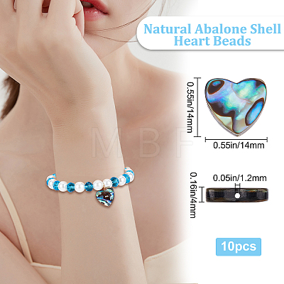 Natural Abalone Shell/Paua Shell Beads SHEL-BBC0001-02-1