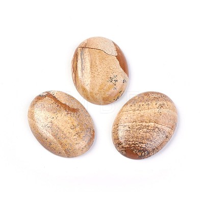 Natural Picture Jasper Cabochons G-F608-03A-1