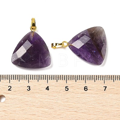 Natural Amethyst Pendants G-L614-D04-G01-1