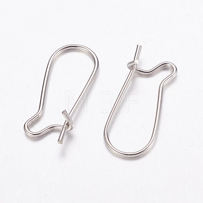 Brass Hoop Earrings Findings Kidney Ear Wires EC221-1-1
