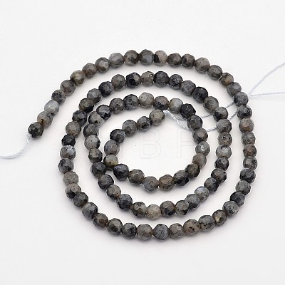 Faceted Round Natural Larvikite Beads Strands G-E302-083-4mm-1
