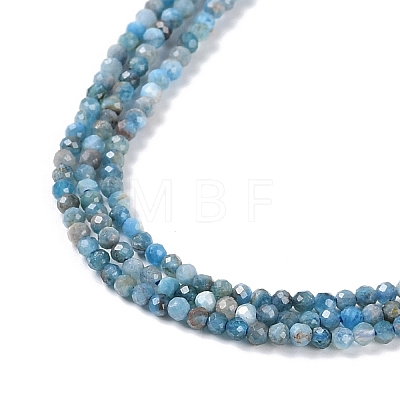 Natural Apatite Beads Strands G-G139-A02-01-1