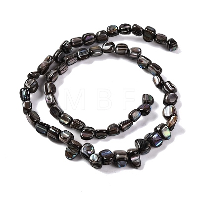 Natural Freshwater Shell Beads Strands BSHE-S304-06-1