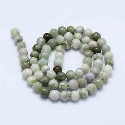 Natural Peace Jade Beads Strands G-I206-20-6mm-1