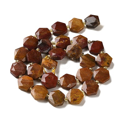Natural Petrified Wood Beads Strands G-H344-B03-01-1