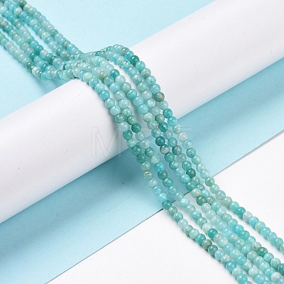 Natural Amazonite Beads Strands G-C009-C05-1