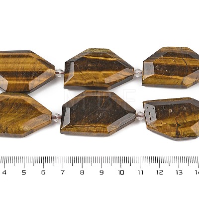 Natural Tiger Eye Beads Strands G-P548-A05-01-1