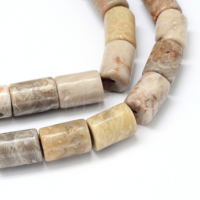 Natural Fossil Coral Prism Bead Strands G-O092-06-1