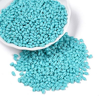 Baking Paint Glass Seed Beads SEED-T006-03H-1