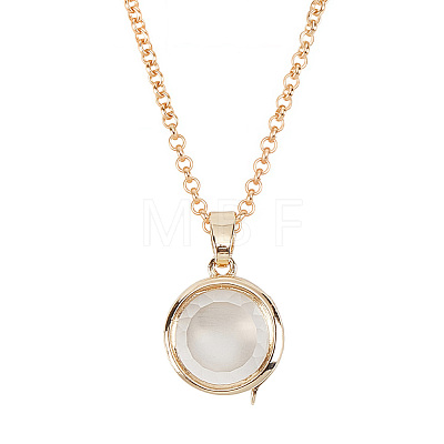 1Pc Alloy Glass Photo Frame Living Memory Floating Locket Pendant Rolo Chain Necklaces for Women NJEW-BM0001-01A-1