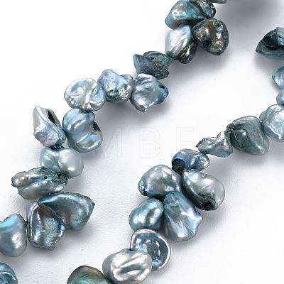 Natural Keshi Pearl Beads Strands PEAR-S021-013A-1