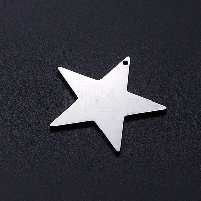 201 Stainless Steel Charms STAS-T049-T688-1-1