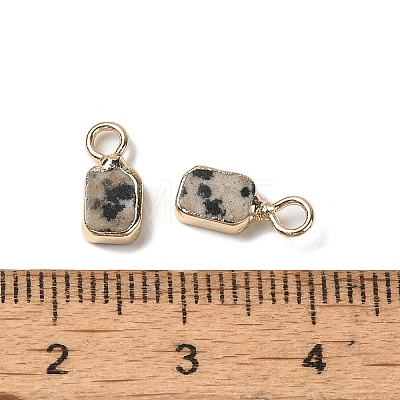 Natural Dalmatian Jasper Rectangle Charms G-Q169-07G-06-1