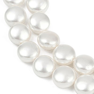 Electroplated Shell Pearl Beads Strands BSHE-G027-13A-1