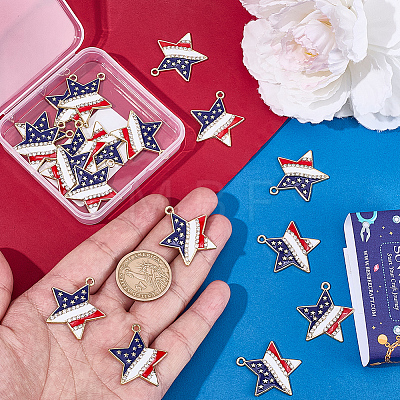 20Pcs Independence Day Alloy Enamel Pendants ENAM-SC0008-28-1