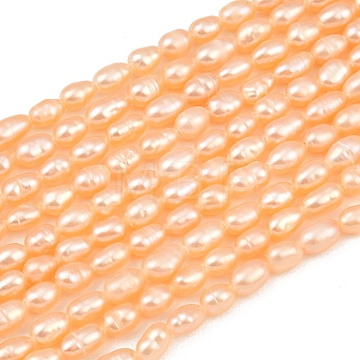 Natural Cultured Freshwater Pearl Beads Strands PEAR-F020-26B-1