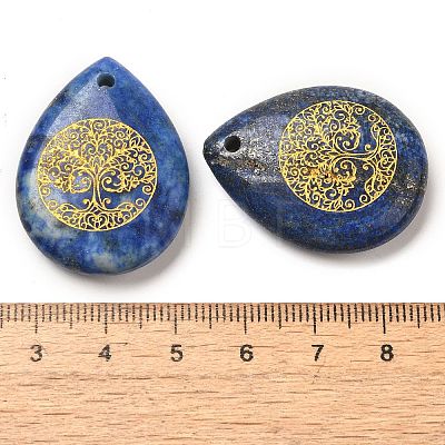 Natural Lapis Lazuli Drop Pendants G-C158-01K-1