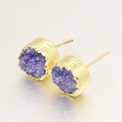 Flat Round Natural Druzy Agate Stud Earrings EJEW-L168-05-1