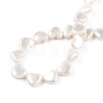 Natural Freshwater Shell Beads Strands SHEL-N026-220B-1