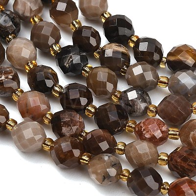 Natural Petrified Wood Beads Strands GG-CBA4A3B-A08-1