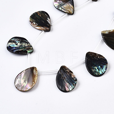 Natural Paua Shell/Abalone Shell Beads Strands SSHEL-Q312-001-1