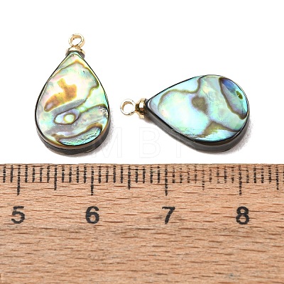 Natural Abalone Shell Pendants SH-CJC0AC7-01B-G-1