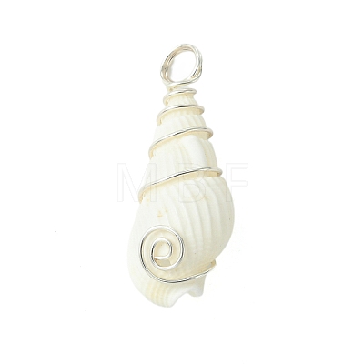 Natural Trumpet Shell Pendants PALLOY-JF02794-02-1