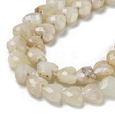 Natural Rainbow Moonstone Beads Strands G-P544-E06-01-1