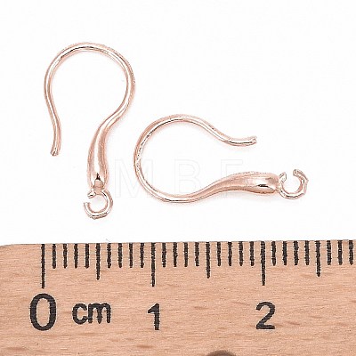 925 Sterling Silver Earring Hooks STER-K168-101-1