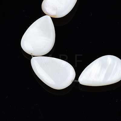 Natural Sea Shell Beads Strands SSHEL-Q296-43-1