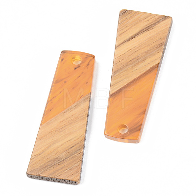 Resin & Walnut Wood Pendants RESI-S389-040A-A01-1