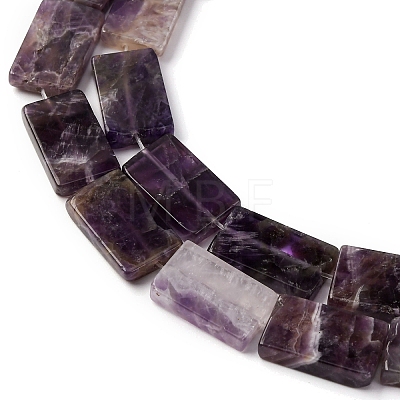 Natural Lavender Amethyst Beads Strands G-K153-M05-1