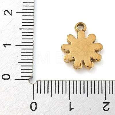 304 Stainless Steel Charms STAS-M084-01A-G-1