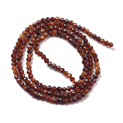 Natural Garnet Beads Strands G-H079-A01-01A-1