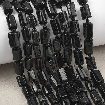 Natural Tourmaline Beads Strands G-H352-A01-01-1