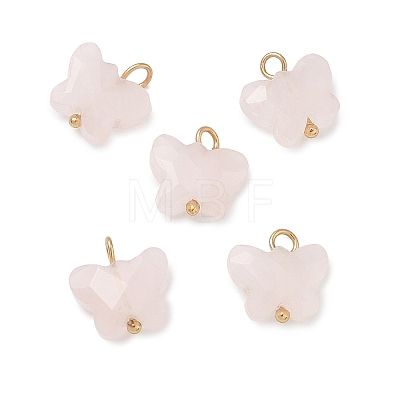 Natural Mixed Stone Pendants KK-D289-61G-1
