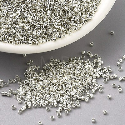 MIYUKI Delica Beads X-SEED-J020-DB0035-1