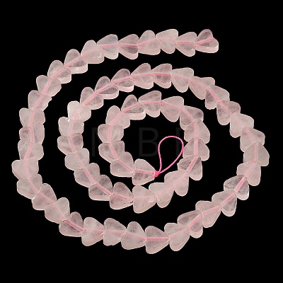 Natural Rose Quartz Beads Strands G-M403-A06-1