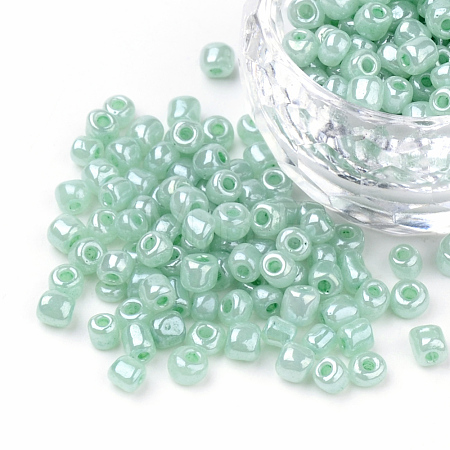 (Repacking Service Available) Glass Seed Beads SEED-C020-4mm-154-1