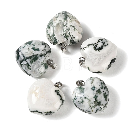 Natural Tree Agate Pendants GG-CBAA0EE-04P-11-1