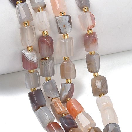 Natural Botswana Agate Beads Strands G-C270-K16-1