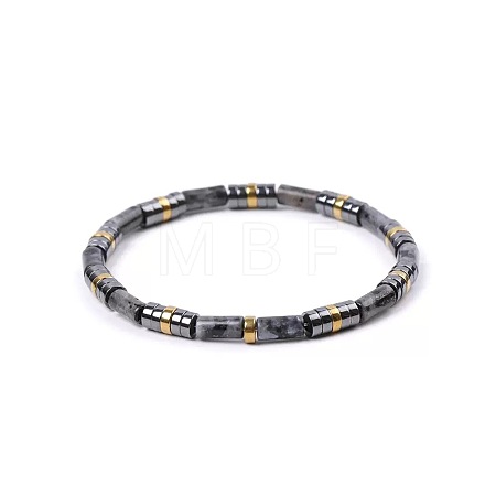 Bohemian Natural Labradorite & Golden Synthetic Non-magnetic Hematite Beaded Stretch Bracelets for Women Men LS-NY1304-4-1