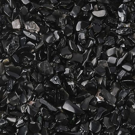 Natural Obsidian Chip Beads G-L453-08-1