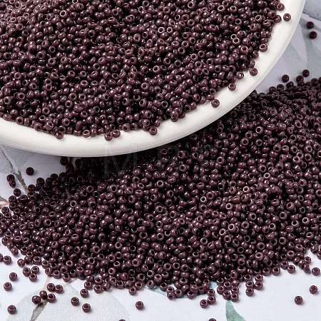 MIYUKI Round Rocailles Beads X-SEED-G009-RR0497-1