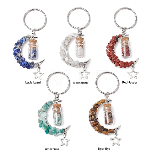 5Pcs 5 Styles Natural Lapis Lazuli & Red Jasper & Amazonite & Tiger Eye & White Moonstone Keychain KEYC-JKC00947-1