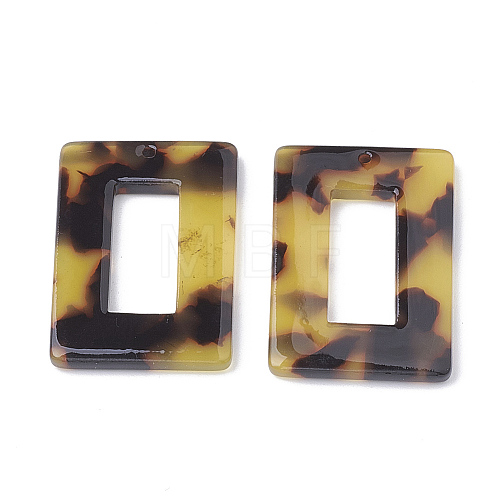 Cellulose Acetate(Resin) Pendants X-KY-Q044-A301-1